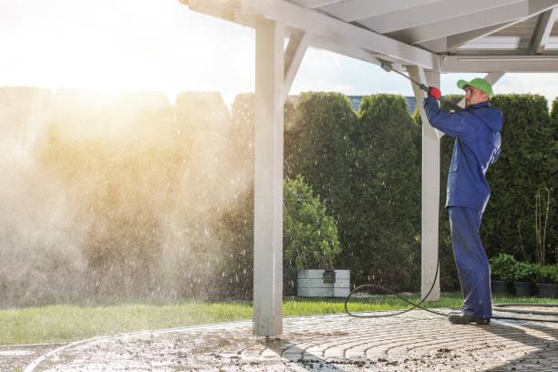 Best Oil Spill Cleanup  in Edinburg, VA